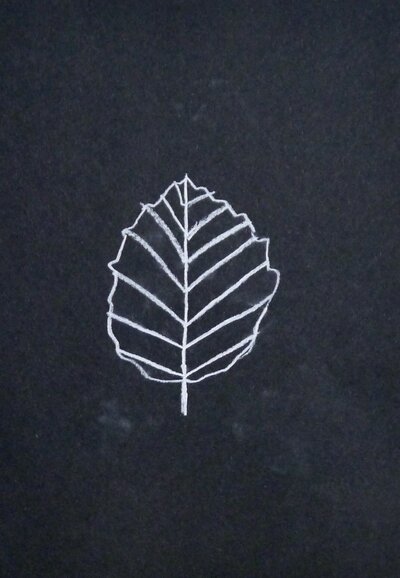 Leaves - Leaf - 34
